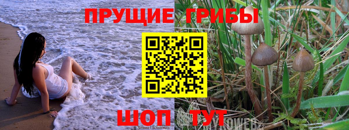 Псилоцибиновые грибы мицелий  Галлюциногенные грибы ЛСД  Вход с VPN  как найти   Хасавюрт 